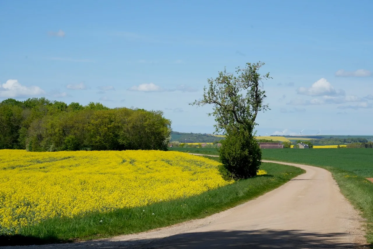 Bild: Schweizer Baumeisterverband SBV
